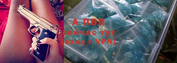 PSILOCYBIN Богданович