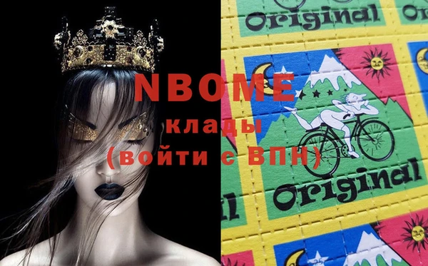 гашик Коряжма