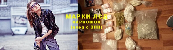 PSILOCYBIN Богданович