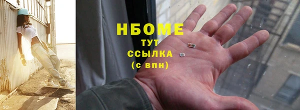 мдпв Бородино