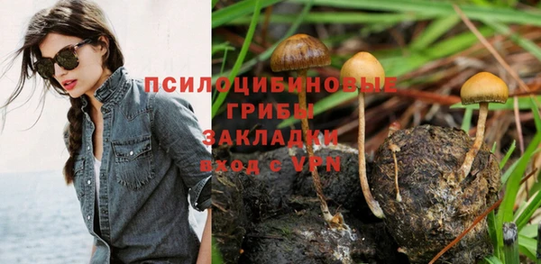 PSILOCYBIN Богданович