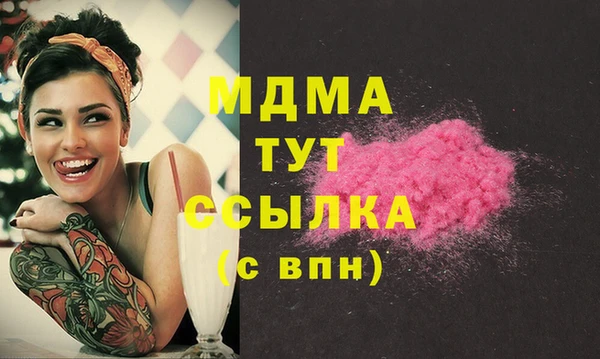 мдпв Бородино