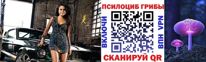 продажа наркотиков  Демидов  Галлюциногенные грибы Cubensis 